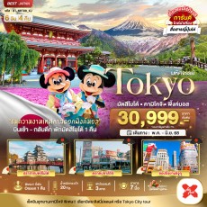 BT-NRT09 TOKYO มัตสึโมโต้ คามิโคจิ พิ้งค์มอส 6 วัน 4 คืน
