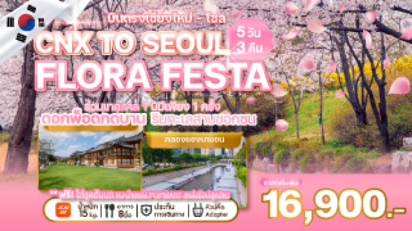 WV-WEKR-CNXFF2025 CHIANG MAI TO SEOUL’S FLORA FESTA
