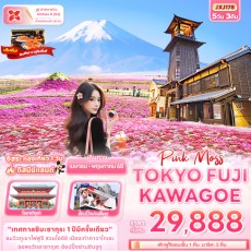IT-JXJ178 Pink Moss TOKYO FUJI KAWAGOE 5วัน 3คืน