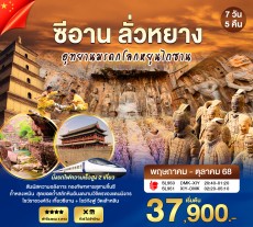 WN-CSTXIY-01SL ซีอาน ลั่วหยาง