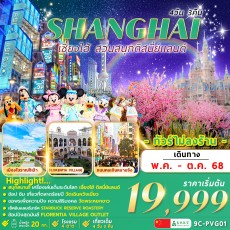 FM-9C-PVG01 Shanghai Disneyland