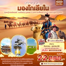 IT CFD230: Amazing Of มองโกเลียใน ทุ่งหญ้าออร์ดอสร์