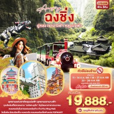 IT CFD206 : Amazing ฉงชิ่ง อู่หลง เขานางฟ้า หลุมบ่อฟ้า