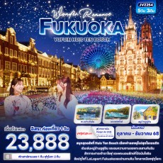 IT JVZ254 : Wonder Romance FUKUOKA