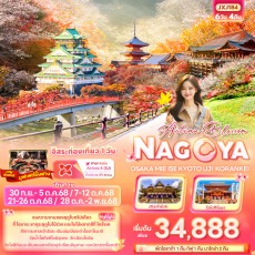 IT JXJ184 : Autumn Blossom NAGOYA OSAKA