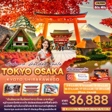 IT JXJ199 : Autumn Golden route TOKYO OSAKA