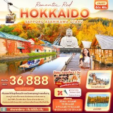 IT JXJ217 : Romantic Red HOKKAIDO SAPPORO