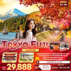 IT JXJ228 : Classic TOKYO FUJI Hakone 5วัน 3คืน