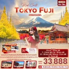 IT JXJ238:  Red Chill TOKYO FUJI FUJINOMIYA