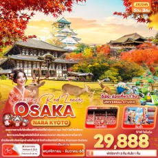 IT JXJ245 : Chasing Red Leaves OSAKA NARA KYOTO UJI