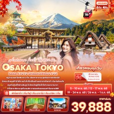 IT JXJ249 : Autumn feels Better in..OSAKA TOKYO