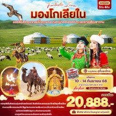 IT-CFD231:  Fantasy Inner มองโกเลียใน ออร์ดอสร์