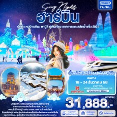 IT-CXJ887:  Snowy Nights ฮาร์บิน หมู่บ้านหิมะ ปักกิ่ง