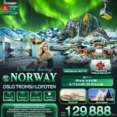 IT-NEK130 : Aurora hunting NORWAY Oslo