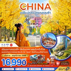 ZGCKG-2507FD: ฉงชิ่ง อู่หลง อุทยานหลุมฟ้า