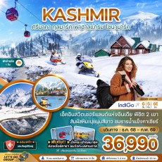 ZGSXR-25046E: แคชเมียร์ ศรีนาคา กุลมาร์ค พาฮาลแกรม โซนามาร์ค