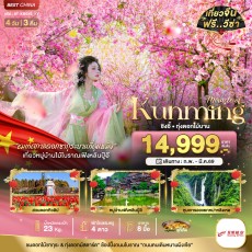 BT-KMG43_KY:มหัศจรรย์…คุนหมิง ชิงอี้