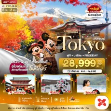BT-NRT_A02_XJ:TOKYO ฟูจิ นาริตะ FREEDAY