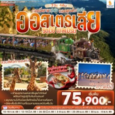 GO-T13828: กอดโคอาลาอุ่นใจ กอดคุณไงอุ่นจัง