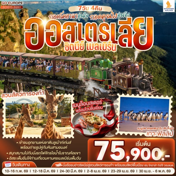 GO-T13828: กอดโคอาลาอุ่นใจ กอดคุณไงอุ่นจัง