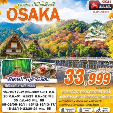 KIX31 : OSAKA อาราชิยาม่า ใบไม้เปลี่ยนสี (เที่ยวเต็ม)