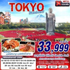 NRT31 : TOKYO โคเชีย อิบารากิ (บินดึกกลับเช้า เที่ยวเต็ม)