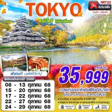 NRT32 : TOKYO คามิโคจิ ใบไม้เปลี่ยนสี (บินดึกกลับดึก เที่ยวเต็ม)