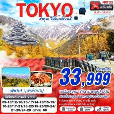 NRT33 : TOKYO ฮาคุบะ ใบไม้เปลี่ยนสี (บินดึกกลับสาย เที่ยวเต็ม)