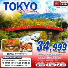 NRT35 :TOKYO นิกโก้ ใบไม้แดง (บินดึกกลับเช้า เที่ยวเต็ม)