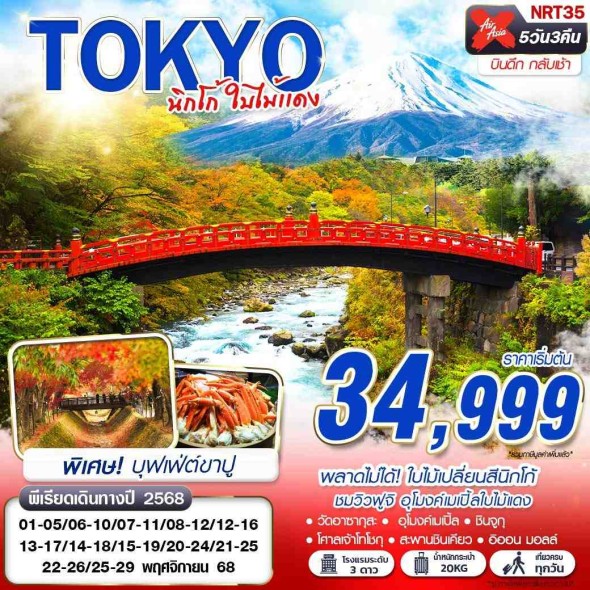 NRT35 :TOKYO นิกโก้ ใบไม้แดง (บินดึกกลับเช้า เที่ยวเต็ม)
