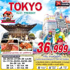 NRT37 :TOKYO WINTER หิมะฉ่ำ FREEDAY (บินดึกกลับเช้า)