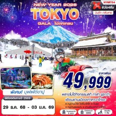NYNRT54:TOKYO ไม่ตกเทรน (บินดึก กลับสาย)  ปีใหม่ 6D4N