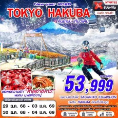 NYNRT52: TOKYO คืนข้ามปี (บินดึก เที่ยวเต็ม ปีใหม่) 6D4N